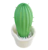 Cactus Pot