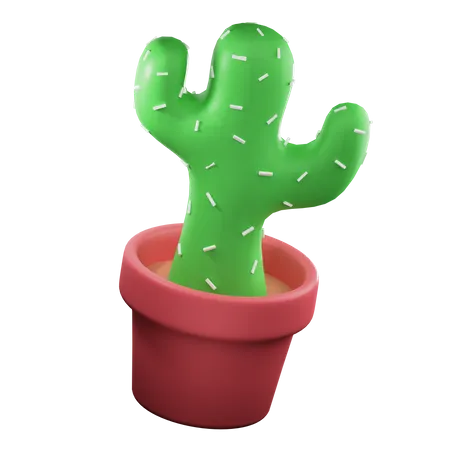 Cactus Pot  3D Illustration