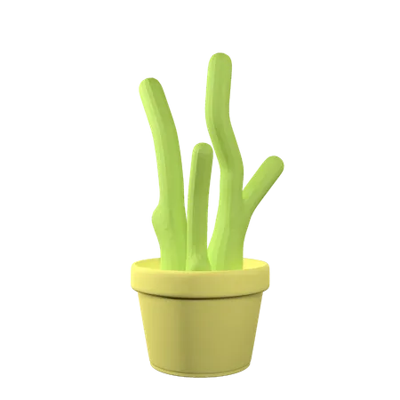 Cactus In Pot With Editable Color And Transparent Background 3D Icon