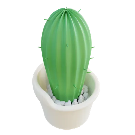 3 D Illustration Cactus 3D Icon