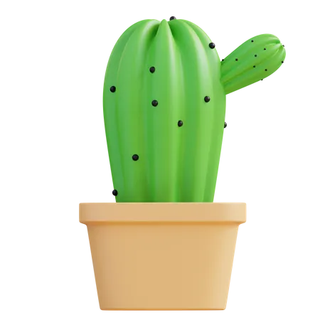 3 D Illustration Cactus 3D Icon