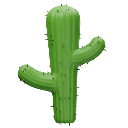 Cactus Tree  3D Icon