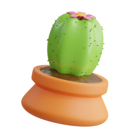 Cactus Vase  3D Icon