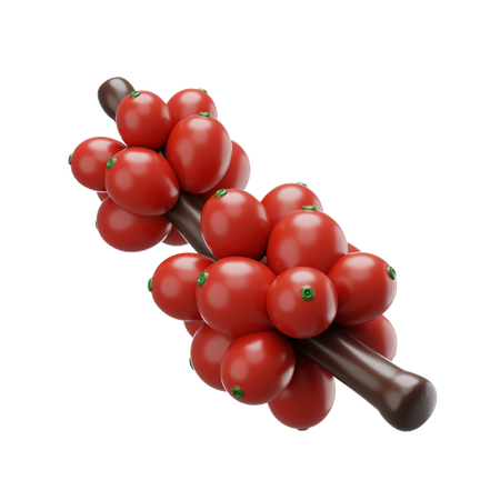 Café cru  3D Icon