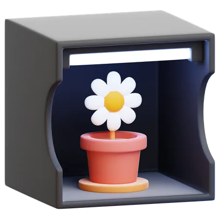 Caixa de luz  3D Icon