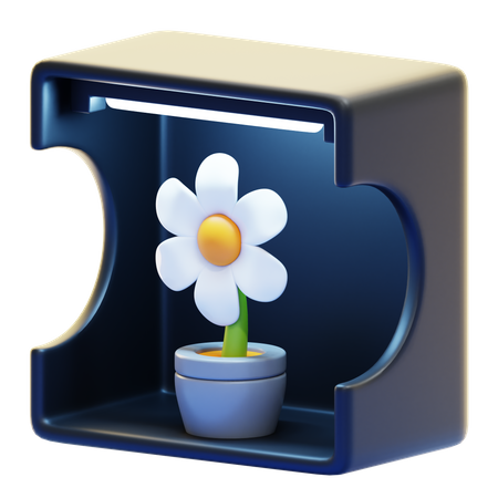 Caixa de luz  3D Icon