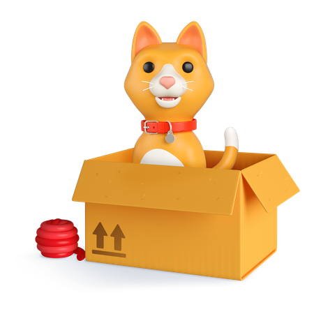 Caixa de gato laranja  3D Icon