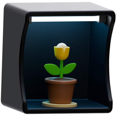 Caja ligera  3D Icon