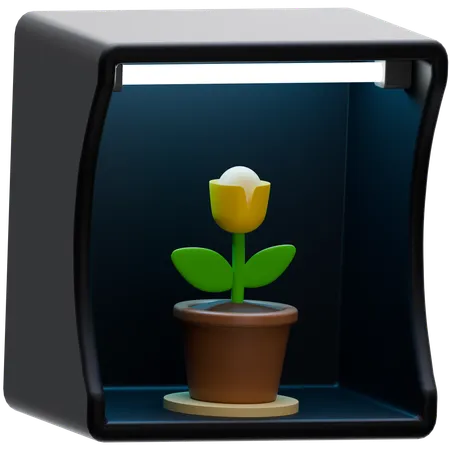 Caja ligera  3D Icon