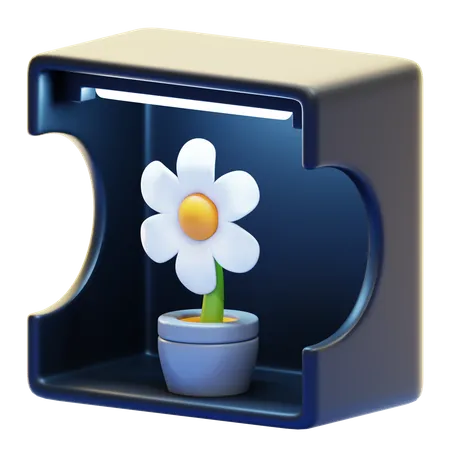 Caja ligera  3D Icon