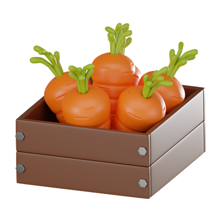 Caja de zanahoria  3D Icon