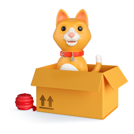 Caja de gato naranja  3D Icon
