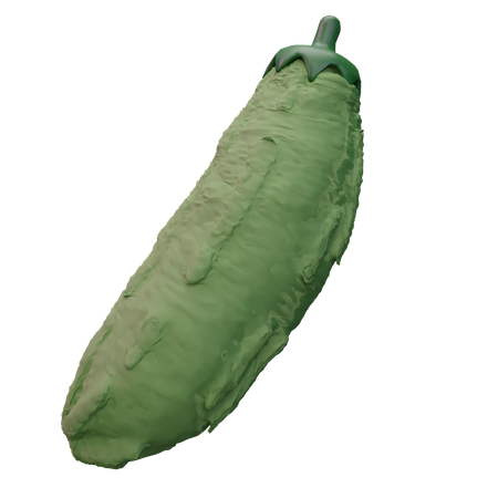 Calabaza amarga  3D Icon