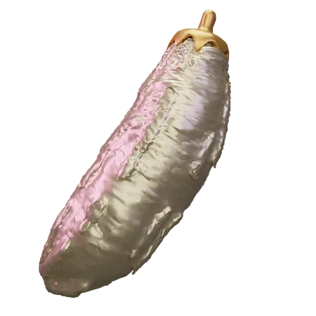 Calabaza amarga  3D Icon