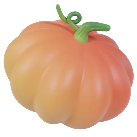 Vegetal de calabaza  3D Icon