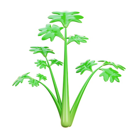 Calary  3D Icon