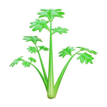 Calary  3D Icon