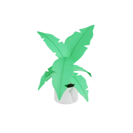 Calathea lutea Pflanze  3D Icon