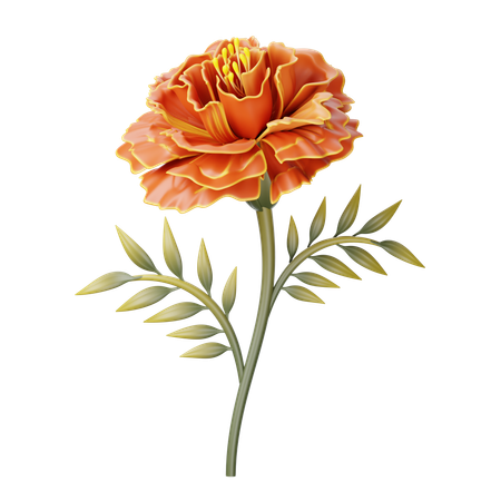 Maravilla  3D Icon