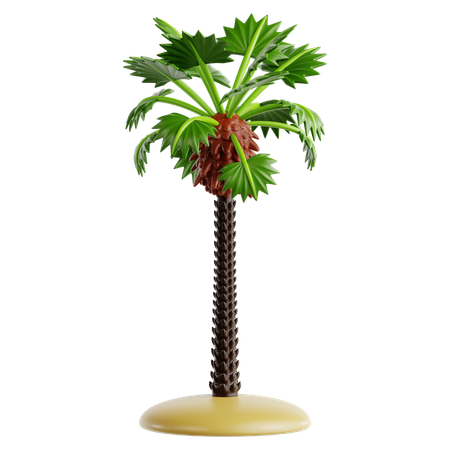 California Fan Palm  3D Icon