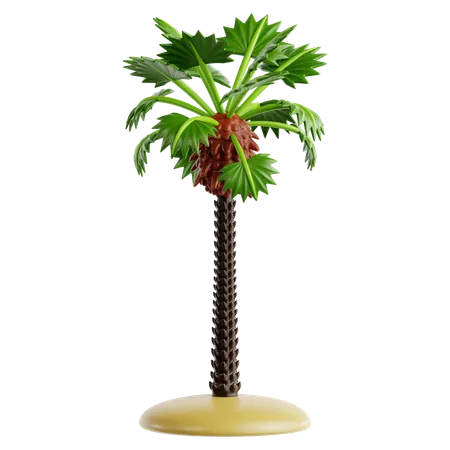 California Fan Palm  3D Icon