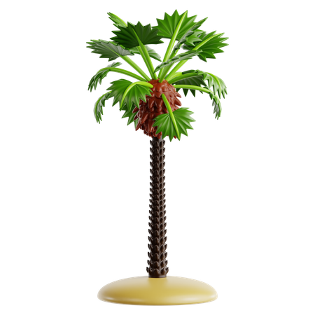 California Fan Palm  3D Icon
