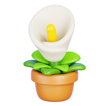 Calla-Lilie  3D Icon