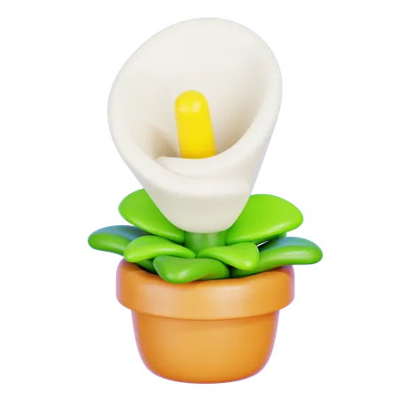 Calla-Lilie  3D Icon