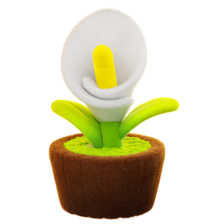 カラーリリーの花  3D Icon