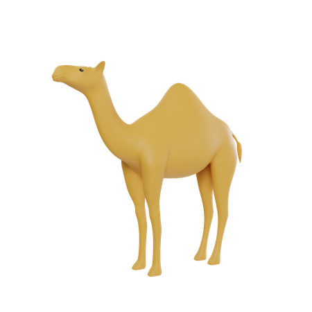 Camal  3D Icon