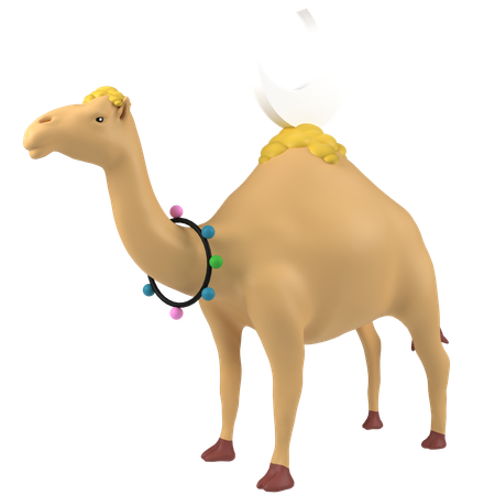 Camel  3D Icon