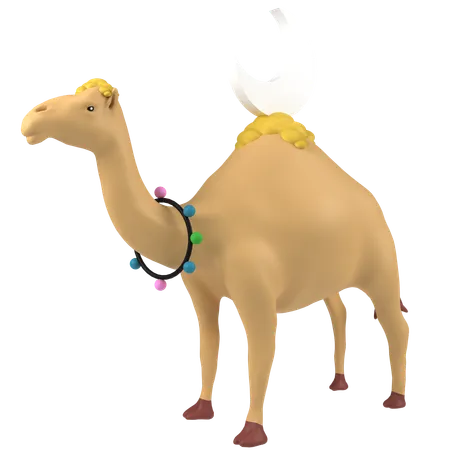 Camel  3D Icon