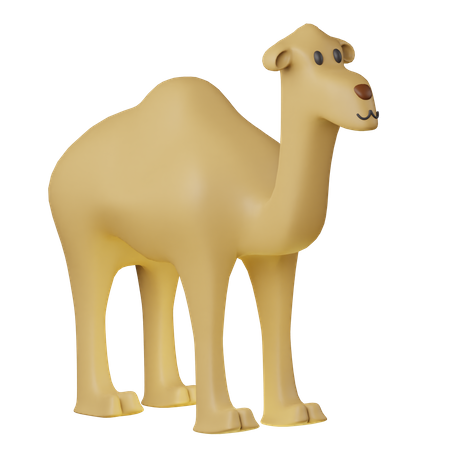 Camel  3D Icon