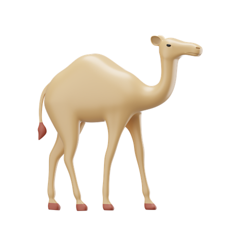 Camel  3D Icon