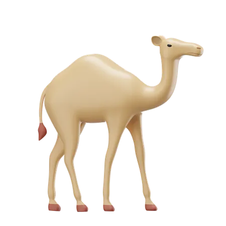 Camel  3D Icon