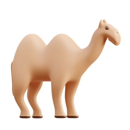 Camel  3D Icon