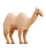 Camel