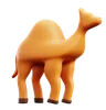 Camel