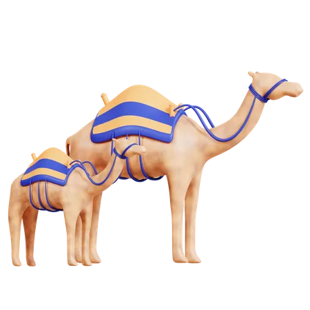 Camel  3D Icon