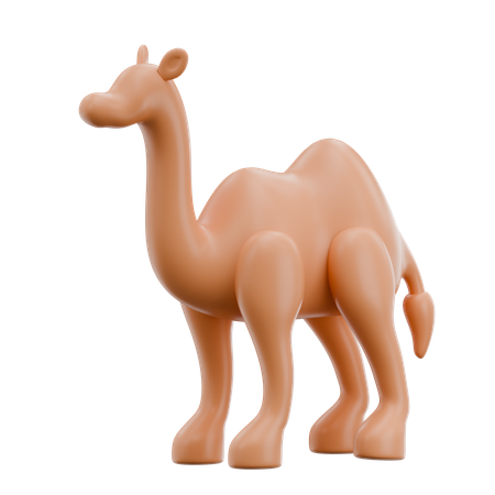 Camel  3D Icon