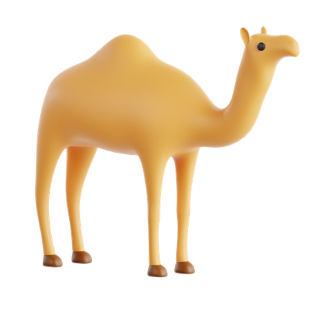 Camel  3D Icon