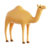 camel