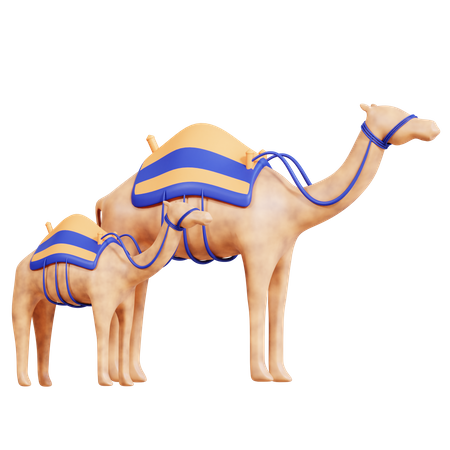 Camel  3D Icon