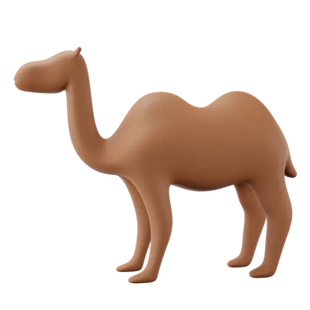 Camel 3D Icon
