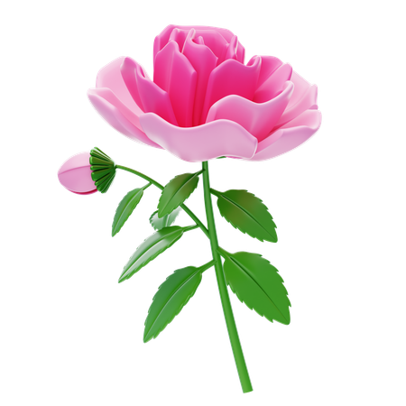 Camellia  3D Icon