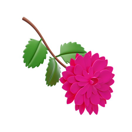 Camellia  3D Icon