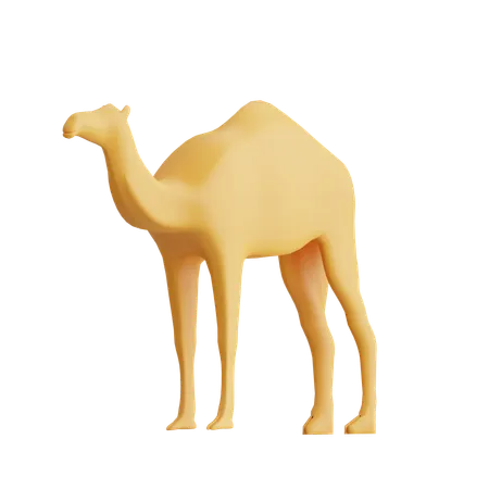 Camello  3D Icon