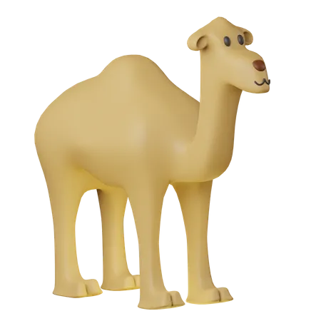 Camello  3D Icon