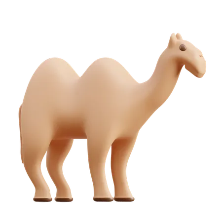 Camelo  3D Icon
