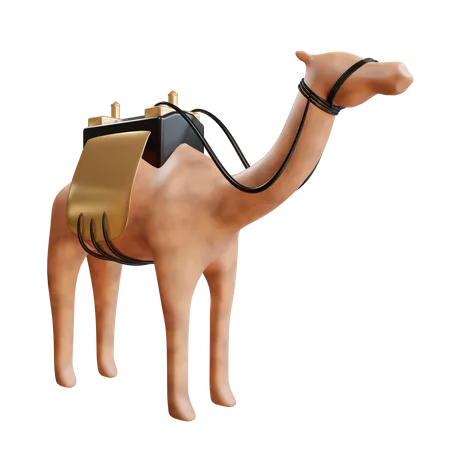 Camelo árabe  3D Illustration